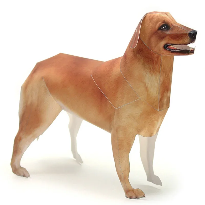 Art Craft With Cardboard - Model papierowy psa rasy Golden Retriever,