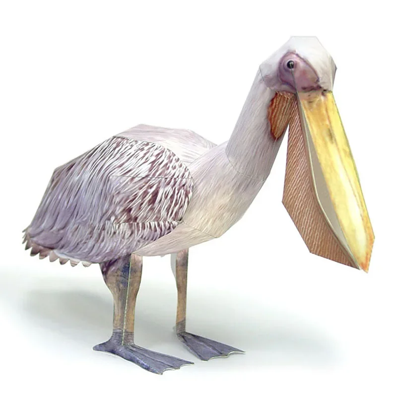 Wielki Biały Pelikan Ptak Mode – Art Craft With Cardboard recenzja i cena